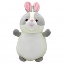 Squishmallows 10 Inch Hugmees Assorted