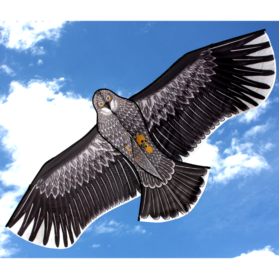 Ocean Breeze Eagle Kite