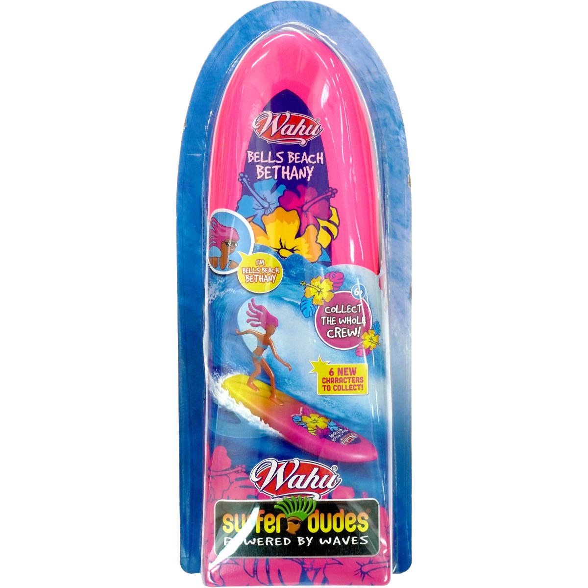 Surfer Dudes Assorted Shop By Occasion Caseys Toys 