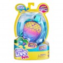 Little Live Pets Lil Turtle Series 9 Single Pack Assorted