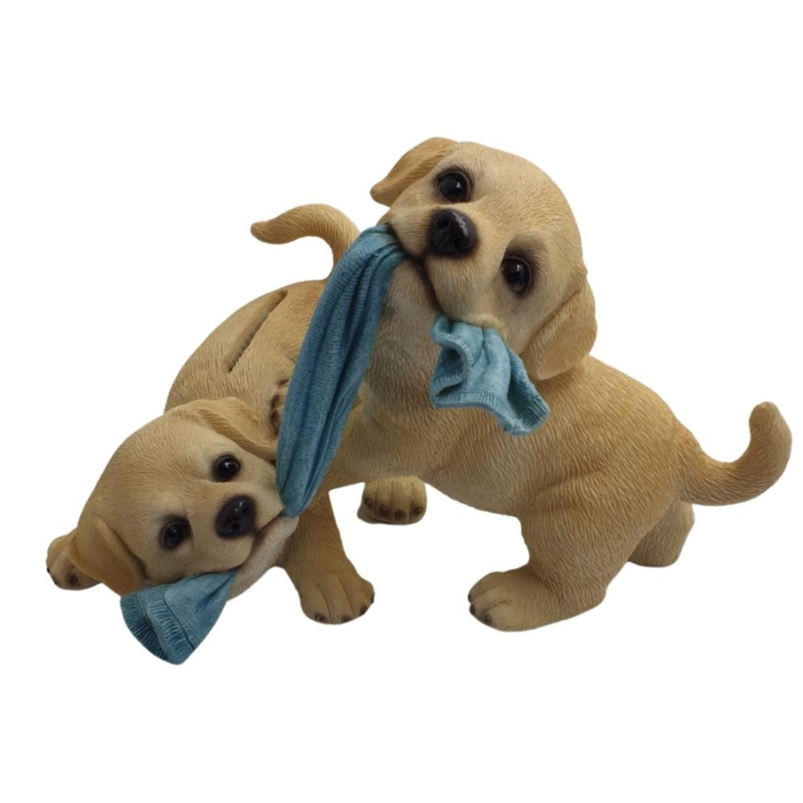Money Box Labrador Pups