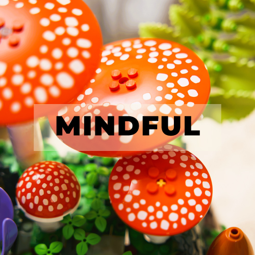 LEGO Mindful Maker Personality